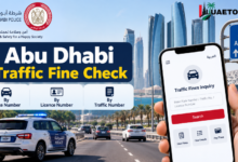 Abu Dhabi Traffic Fine Check
